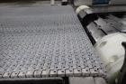 Babbco Direct Fired Tunnel Oven